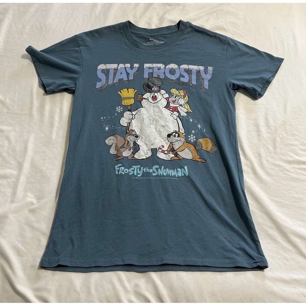 Frosty the Snowman Stay Frosty Graphic T-Shirt Blue Gray Small Mad Engine